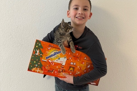 Katze